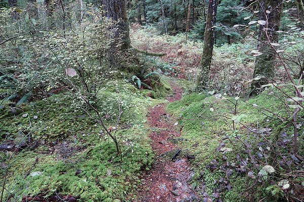USFS Middle Fork Granite Ledges Day Use - 50