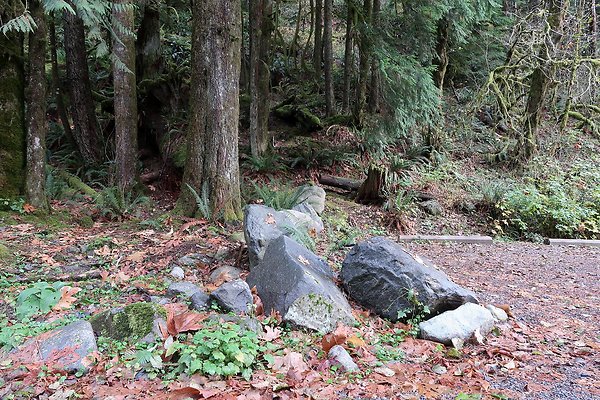 USFS Middle Fork Granite Ledges Day Use - 42