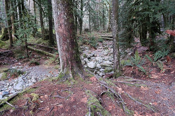 USFS Middle Fork Granite Ledges Day Use - 20