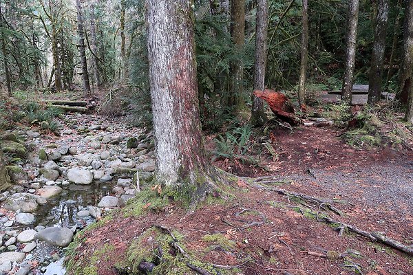 USFS Middle Fork Granite Ledges Day Use - 25