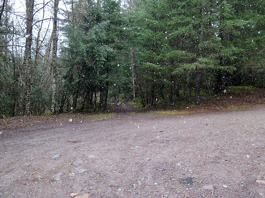 USFS Skookum Flats North roads - 73