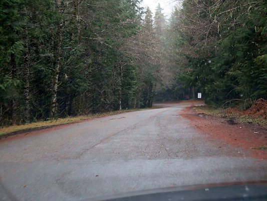 USFS Skookum Flats North roads - 12