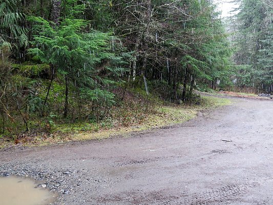 USFS Skookum Flats North roads - 67