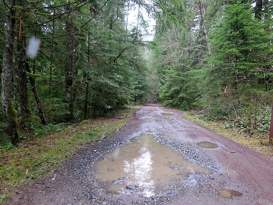 USFS Skookum Flats North roads - 29