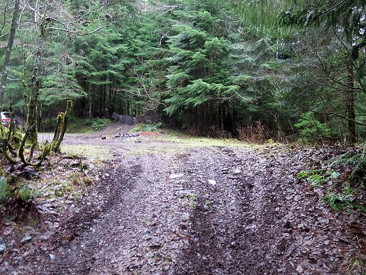 USFS Skookum Flats North roads - 88