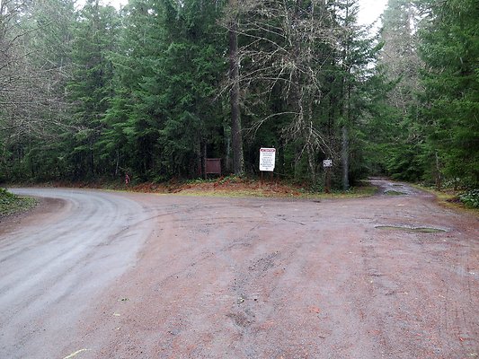 USFS Skookum Flats North roads - 20