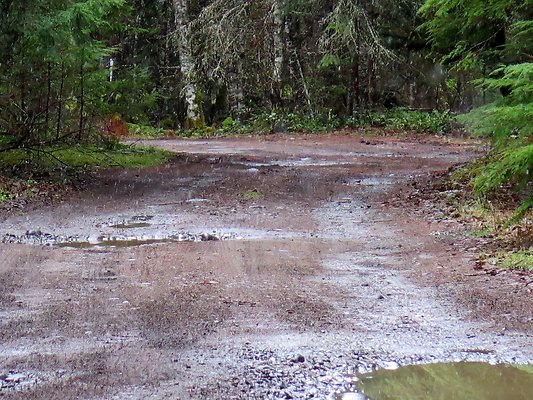USFS Skookum Flats North roads - 28