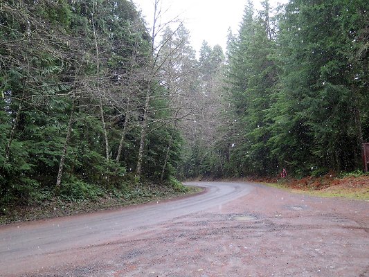 USFS Skookum Flats North roads - 30