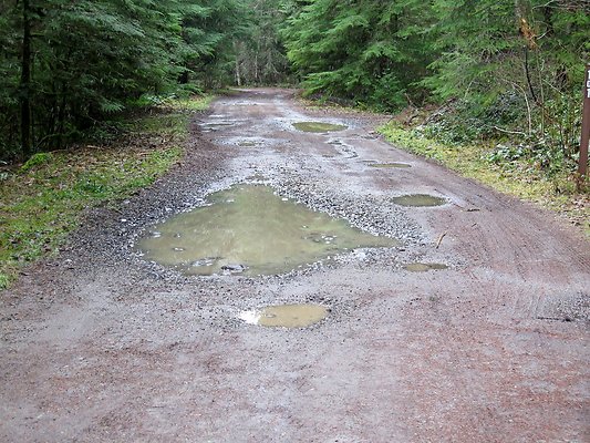 USFS Skookum Flats North roads - 24