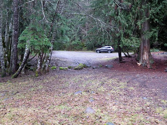 USFS Skookum Flats North roads - 82