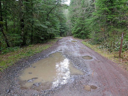 USFS Skookum Flats North roads - 26