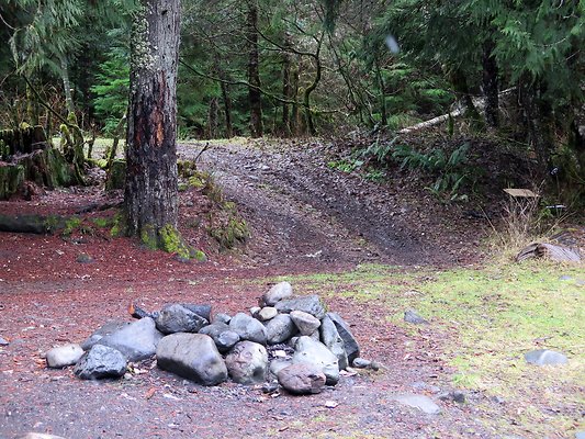 USFS Skookum Flats North roads - 85