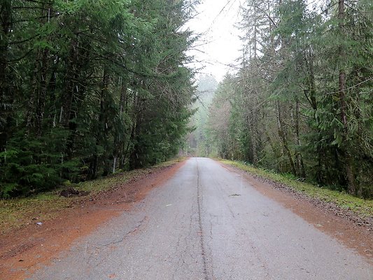 USFS Skookum Flats North roads - 16