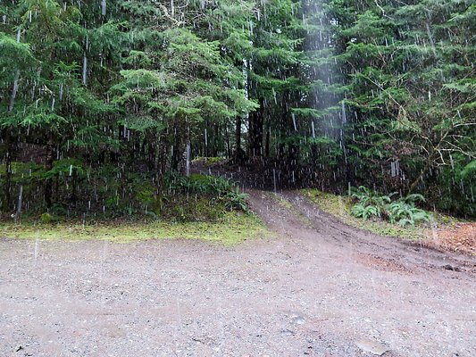 USFS Skookum Flats North roads - 76