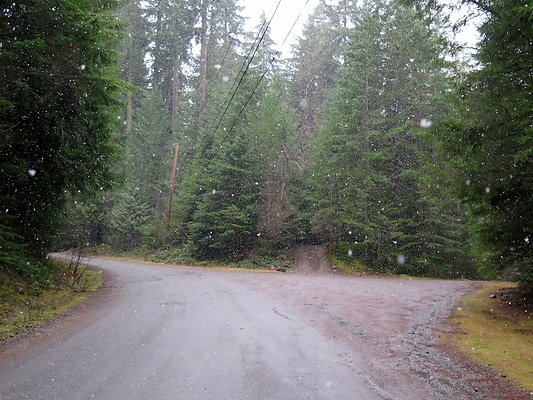 USFS Skookum Flats North roads - 58