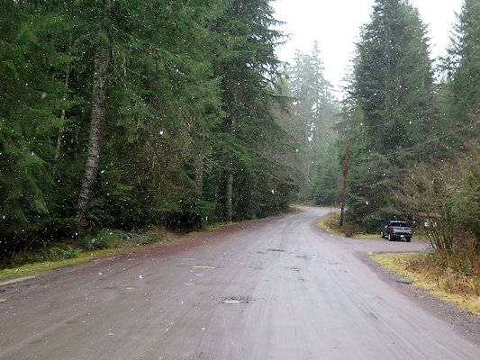 USFS Skookum Flats North roads - 54