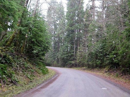 USFS Skookum Flats North roads - 31