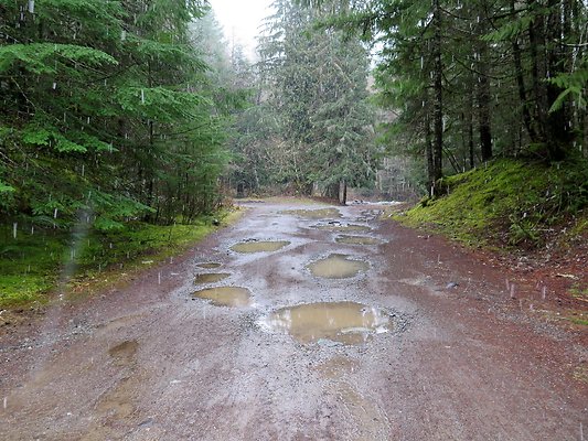 USFS Skookum Flats North roads - 61