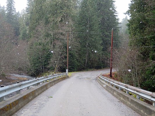 USFS Skookum Flats North roads - 49