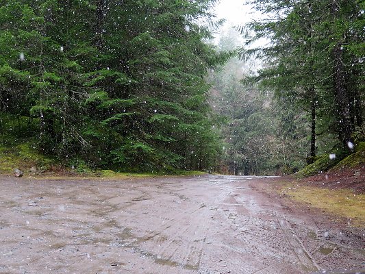 USFS Skookum Flats North roads - 60