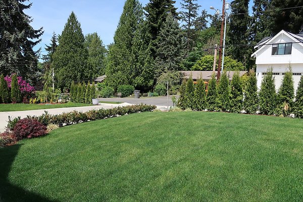 12827 NE 113th St Kirlkand House - 14