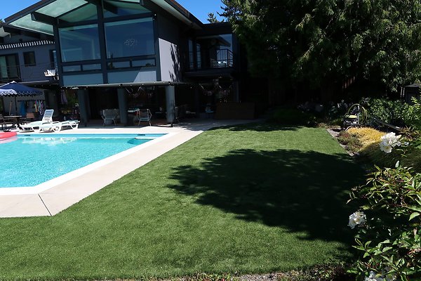 Seattle Mid Century Modern Pool House Ext 2025 - 11