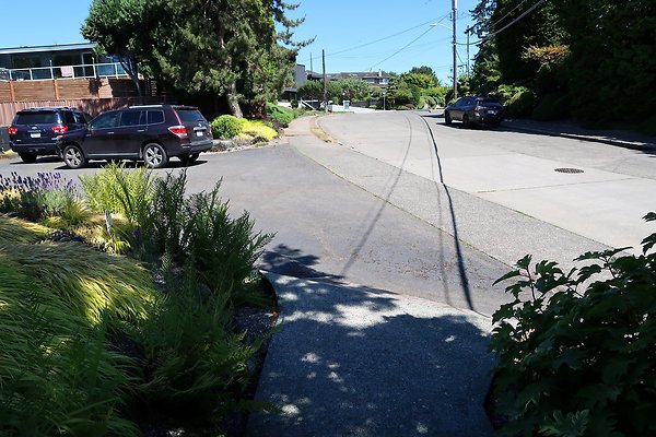 Seattle Mid Century Modern Pool House Ext 2025 - 44