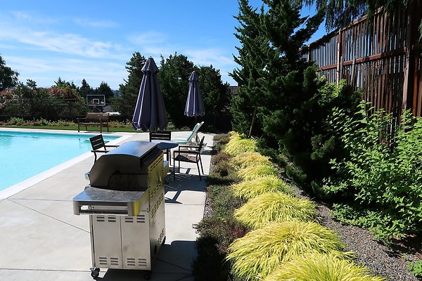 Seattle Mid Century Modern Pool House Ext 2025 - 26
