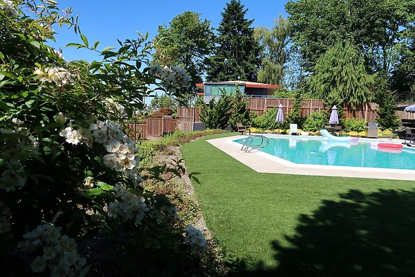 Seattle Mid Century Modern Pool House Ext 2025 - 5