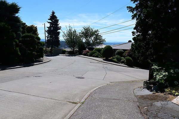Seattle Mid Century Modern Pool House Ext 2025 - 45