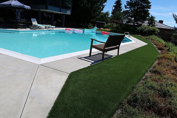 Seattle Mid Century Modern Pool House Ext 2025 - 28