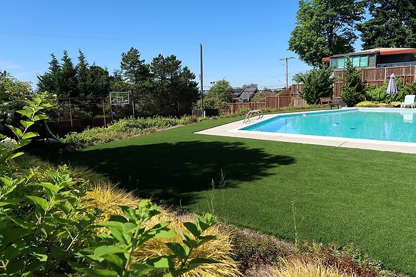 Seattle Mid Century Modern Pool House Ext 2025 - 2