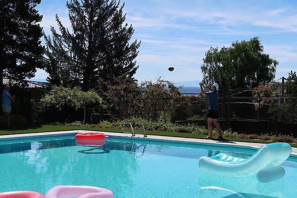Seattle Mid Century Modern Pool House Ext 2025 - 34