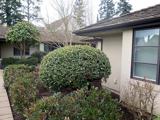 GRAND EVERETT - 32