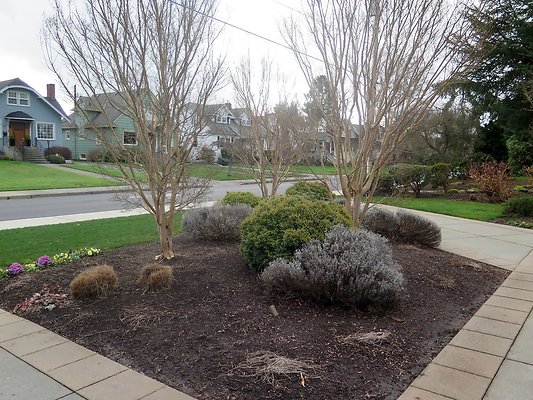 GRAND EVERETT - 8
