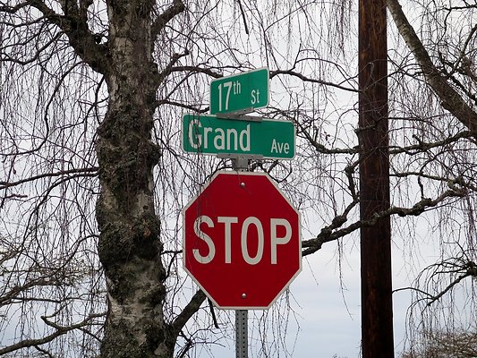 GRAND EVERETT - 81