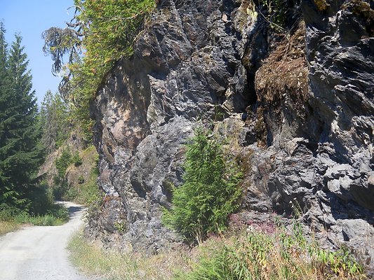 MtBaker highway white salmon NF3075 - 26
