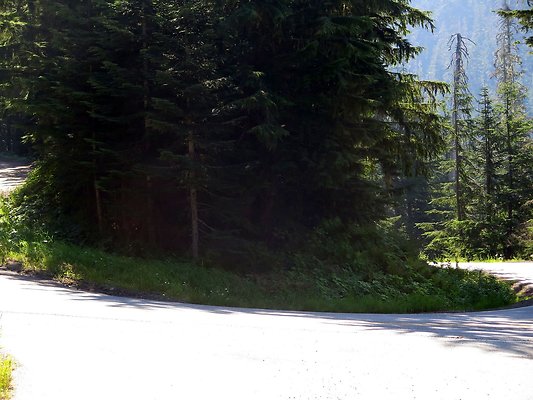 MtBaker highway white salmon NF3075 - 3