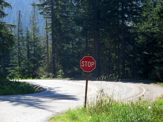 MtBaker highway white salmon NF3075 - 4