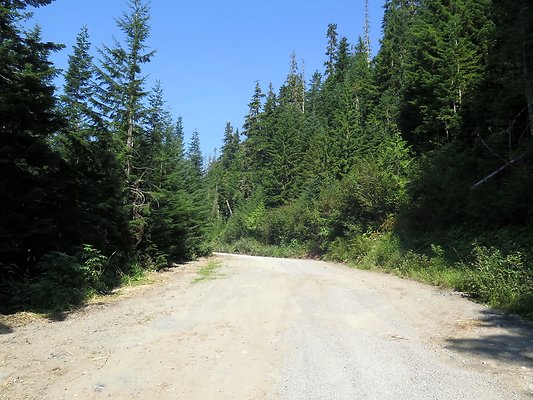 MtBaker highway white salmon NF3075 - 5