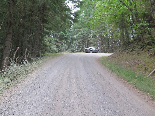 Lower NF75 - 84