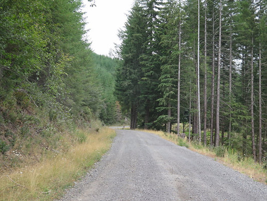 Lower NF75 - 31