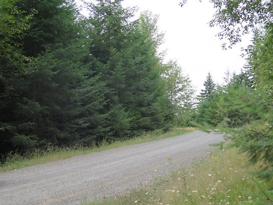 Lower NF75 - 62