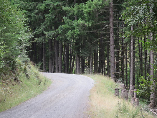 Lower NF75 - 39