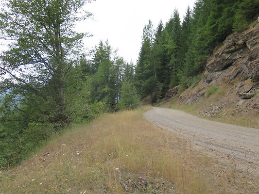 Lower NF75 - 151