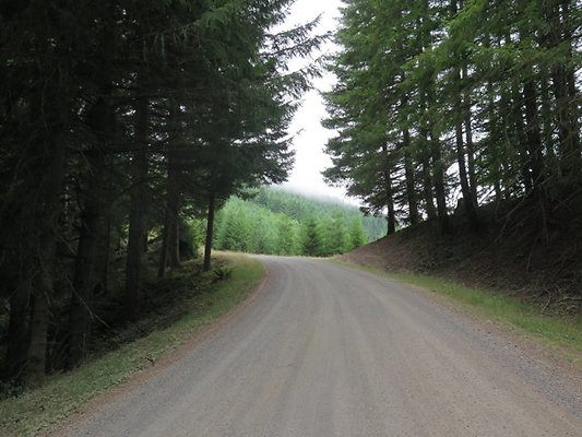 Lower NF75 - 71