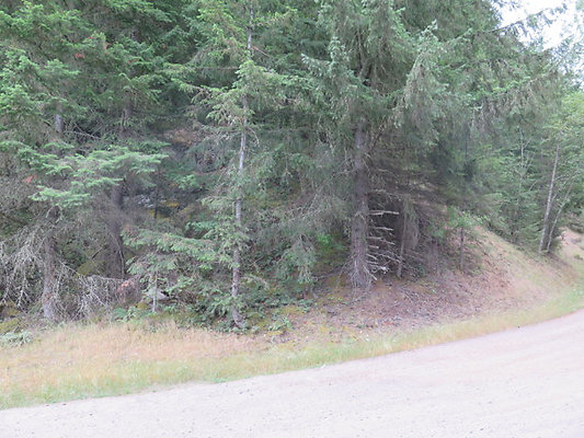 Lower NF75 - 117