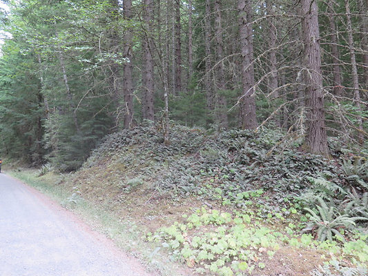 Lower NF75 - 47