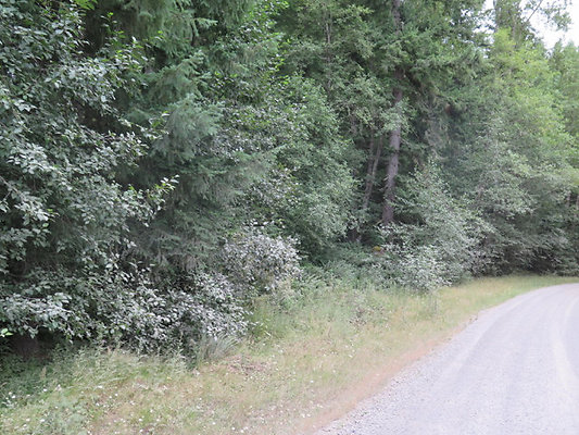 Lower NF75 - 63