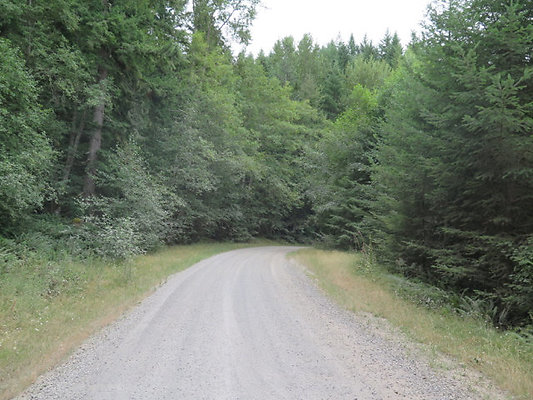 Lower NF75 - 64
